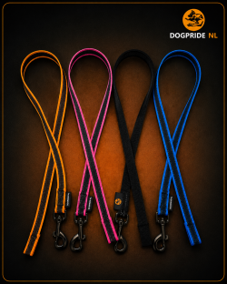 DOGPRIDE NL Nylon antislip werklijn zonder handvat