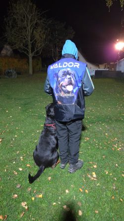 HST Hondentrainingsvest Eigen Logo of Foto