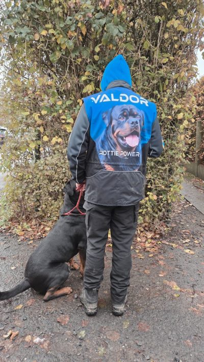 HST Hondentrainingsvest Eigen Logo of Foto HST Hondentrainingsvest Eigen Logo of Foto