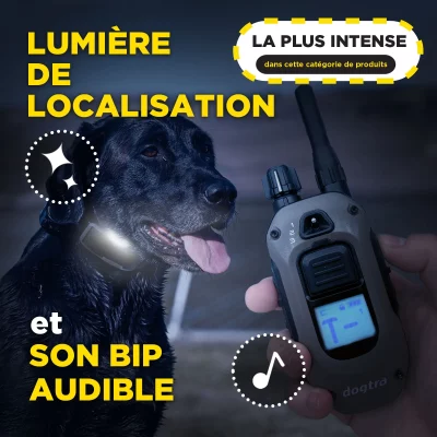 DOGTRA 1200X 1-Dog Unit night