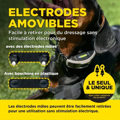 DOGTRA 1200X 1-Dog Unit electrodes