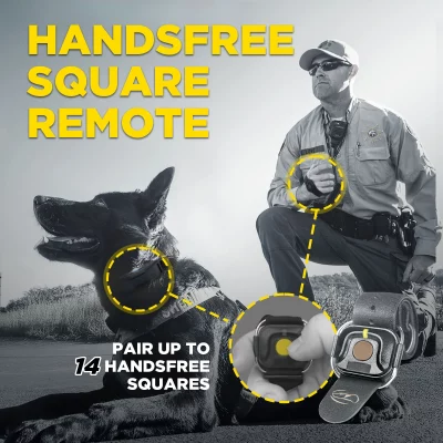 DOGTRA 1200X Black Trainingsband