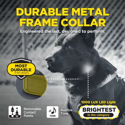 DOGTRA 1200X Black Trainingsband