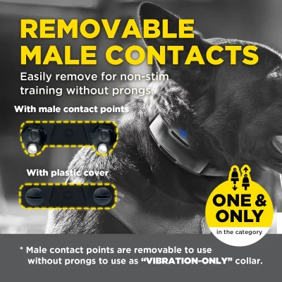 DOGTRA 1200X Black Trainingsband