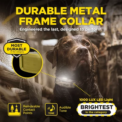 DOGTRA 1200X CAMO 1-Dog Unit