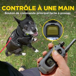 DOGTRA 640X Handsfree