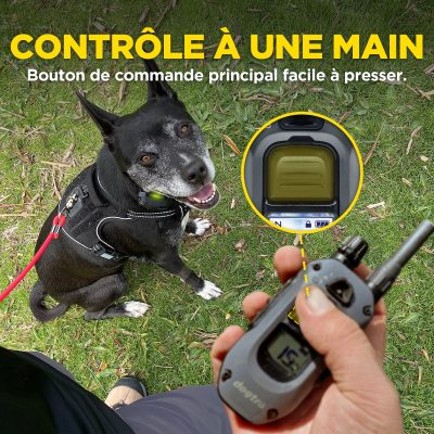 DOGTRA 640X Handsfree