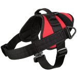 Ray Allen Service Dog Opportunity Harness