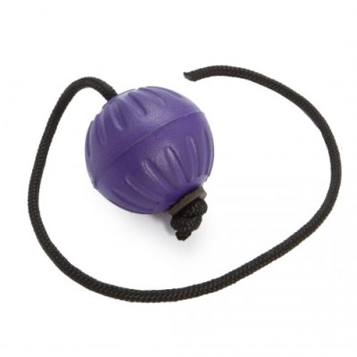 2000.010.0017 Starmark Fantastic Durafoam Bal paars, 7 cm met koord-500x500 STARMARK Fantastic Durafoam Bal (7cm) met koord