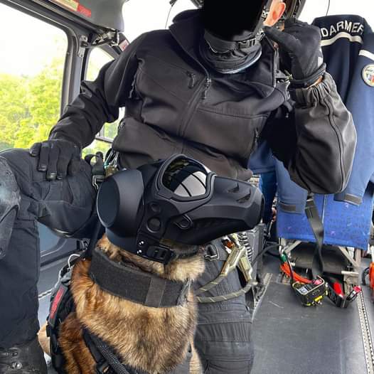 Darkfighter K9 Helmet Modern Day Marine 2023 • Spotter Up, 60 OFF