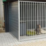 Chenil en bois du Sauerland partie fermée Sauerland houten kenneldeel dicht