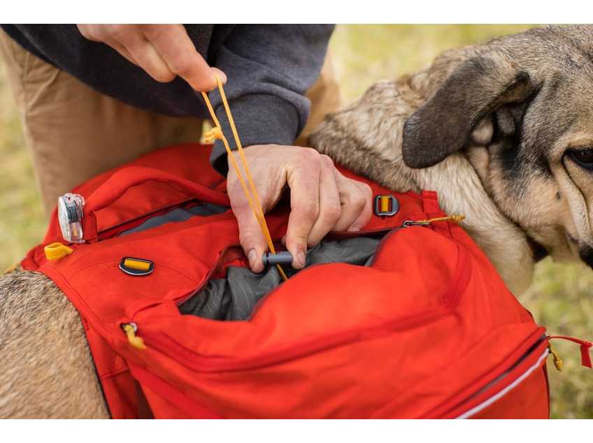 Ruffwear Palisades Pack rugzak Dogpride NL