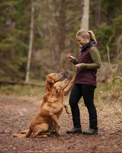 DOGSPORTS WINDBLOCKER BODYWARMER Dames