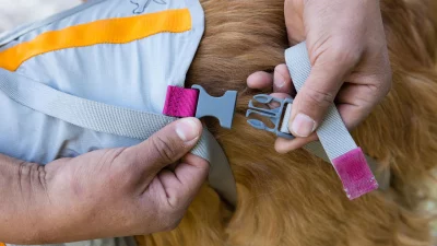 3584_backtrak-evacuation-kit_key-feature-color-coated-tabs RUFFWEAR BackTrak Dog Evacuation Kit