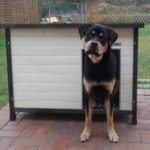 Geïsoleerd houten hondenhok Wit Geïsoleerd houten hondenhok Wit