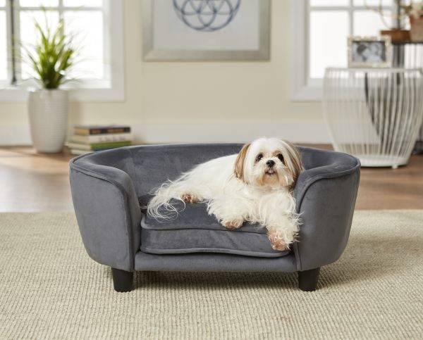 Constantine dog sofa hotsell