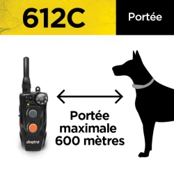 DOGTRA 612C Trainingsband