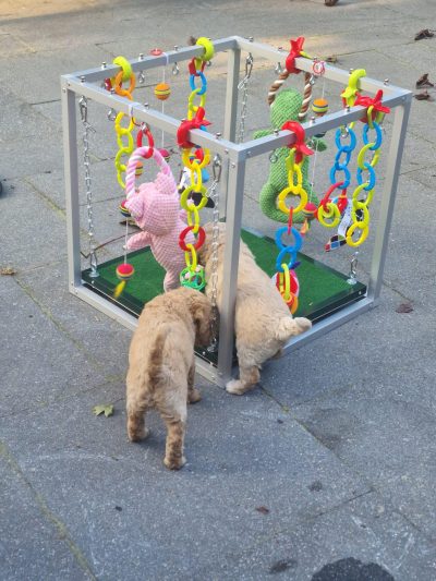 Bonne Kooienbouw Onweerstaanbare Speelkubus