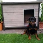 Modern houten hondenhok Grijs Modern houten hondenhok Grijs