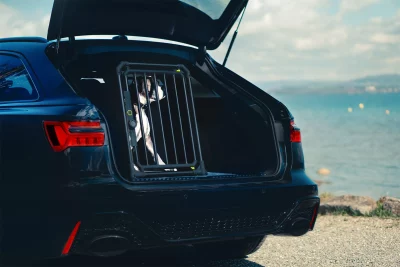 4pets PRO NOIR 22 Large3 4pets PRO NOIR 22 Large