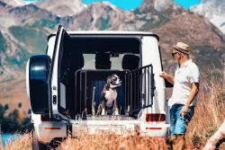 4pets PRO NOIR 22 Large