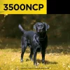501_1500x DOGTRA 3500 NCP Trainingsband