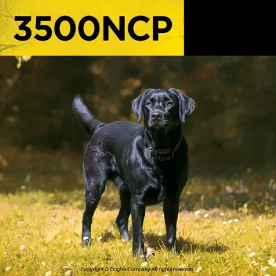 501_1500x DOGTRA 3500 NCP Trainingsband
