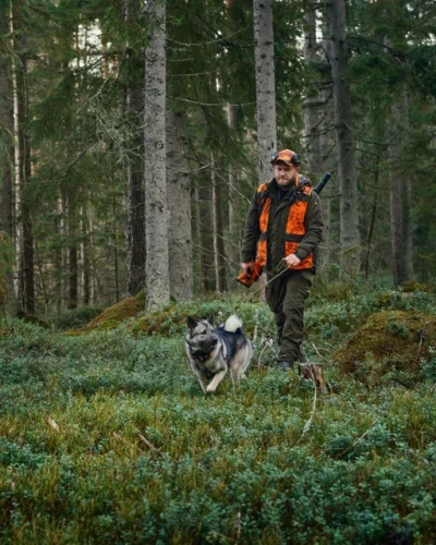 PINEWOOD Småland Forest broek Heren Hond