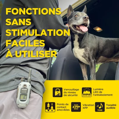 DOGTRA 640X Handsfree