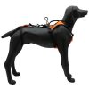 KONG Harness for Rescue Dogs HARIA