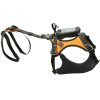 KONG Harness for Rescue Dogs HARIA