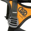 KONG Harness for Rescue Dogs HARIA detail