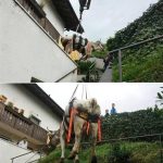 KONG Rund en Paard Harnas WAKA KONG Rund en Paard Harnas WAKA