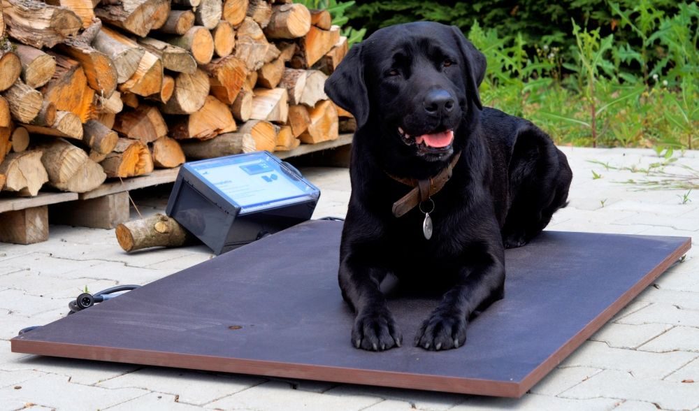 SAUERLAND Heating Plate Plus SAUERLAND Warmteplaat Plus