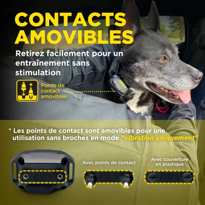 DOGTRA 640X Handsfree