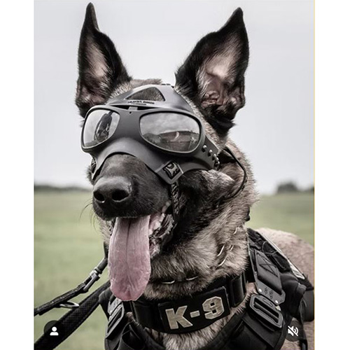 Spec Opt Eye Protection K9 Goggles Spec Opt Eye Protection K9 Goggles