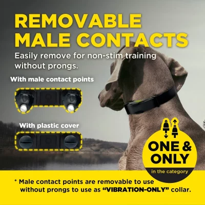 ARC-XThumbnaildesign250317_0006_removable_3000x DOGTRA ARC-X Kit 2-Dog Unit