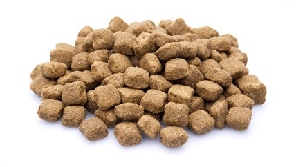 Adult Maxi uitgebalanceerde voeding