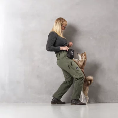 Allround-Beetle-5_1900x DC Dog Walker Allround Pants Beetle Auri