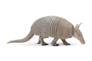 ARMADILLO Steekbestendig Reflecterend Vest K1 ARMADILLO Steekbestendig Reflecterend Vest K1