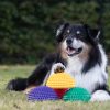 Set Balansegel voor hondentraining (6 stuks)