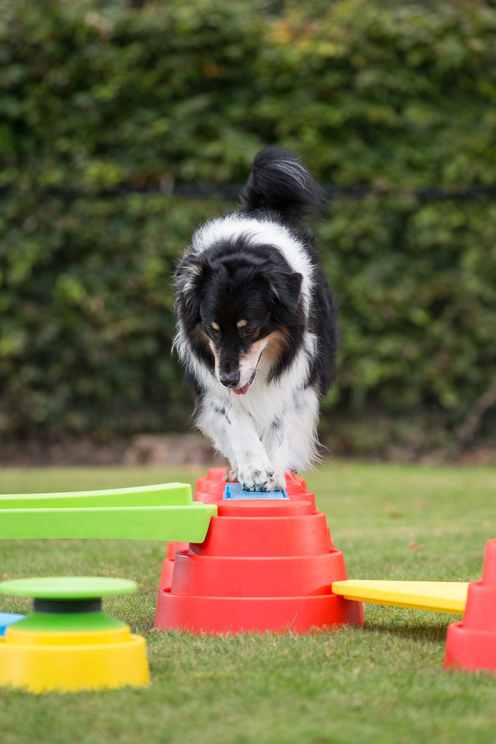 Build N Balance rode staander Ø24 cm