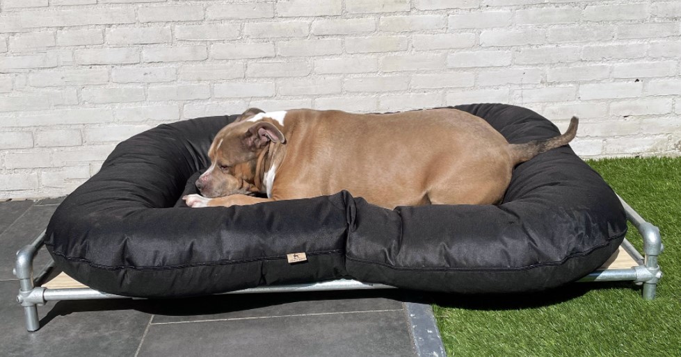 Hondenmand Stoer Extra steigerbuis Hondenmand Stoer Extra steigerbuis