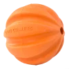 Dog Comets Ball Swift Tuttle Oranje