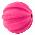Dog Comets Ball Halley Roze