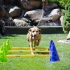 Canine Gym Hond Agility Kit2 Canine Gym Hond Agility Kit