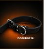 ChatGPT Image 1 jul 2026, 11_30_54 Zware Halsband Vetleder Dubbel Gestikt 40 mm x 55 cm