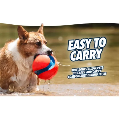 Chuckit! Giggle Kick Fetch4 Chuckit! Giggle Kick Fetch