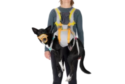 CompressedPNG-3584_BacktrakEvacuationKit_CloudburstGray_Front_STUDIO RUFFWEAR BackTrak Dog Evacuation Kit