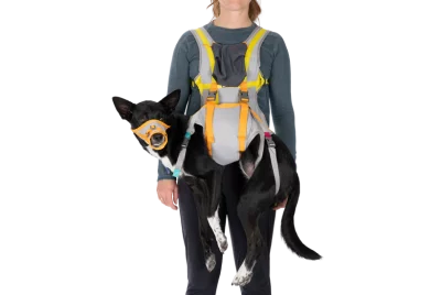 CompressedPNG-3584_BacktrakEvacuationKit_CloudburstGray_Front_STUDIO RUFFWEAR BackTrak Dog Evacuation Kit